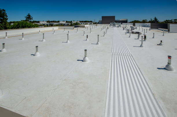 Best Hot Roofs  in , SC